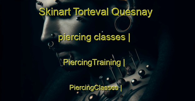 Skinart Torteval Quesnay piercing classes | PiercingTraining | PiercingClasses | SkinartTraining-France